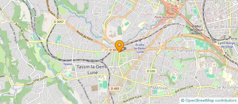 localisation de l'entreprise OUEMO  TASSIN-LA-DEMI-LUNE