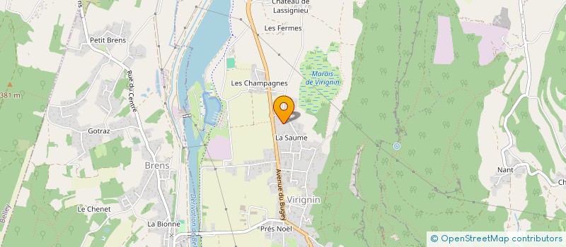 localisation de l'entreprise OUTILLAGE PRO SERVICES  VIRIGNIN