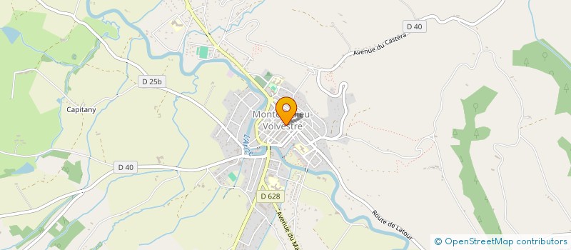 localisation de l'entreprise OVEA  MONTESQUIEU-VOLVESTRE