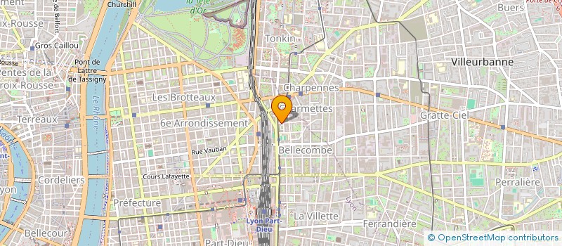 localisation de l'entreprise OYE MULTISERVICES  LYON