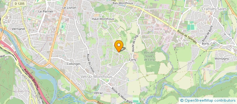localisation de l'entreprise OZIOL&CO  VETRAZ-MONTHOUX
