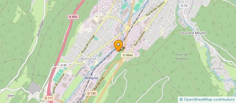 localisation de l'entreprise OZYANCE à BELLIGNAT