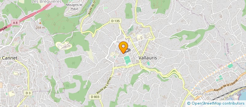 localisation de l'entreprise P.A.C.A.S.T  VALLAURIS