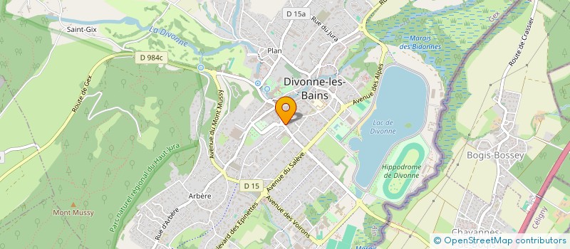 localisation de l'entreprise P DE G IMMOBILIER à DIVONNE-LES-BAINS