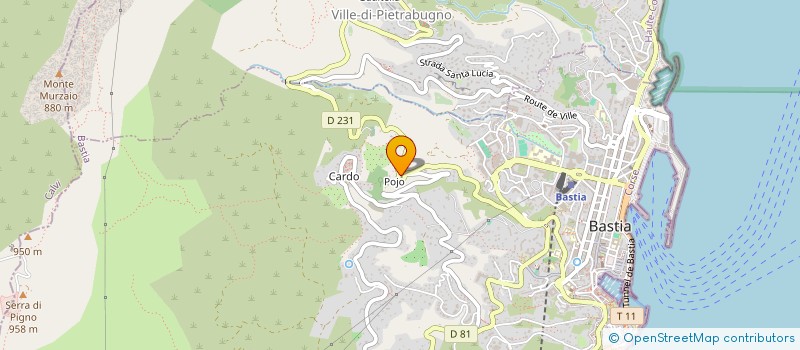 localisation de l'entreprise P ET P DIFFUSION à BASTIA