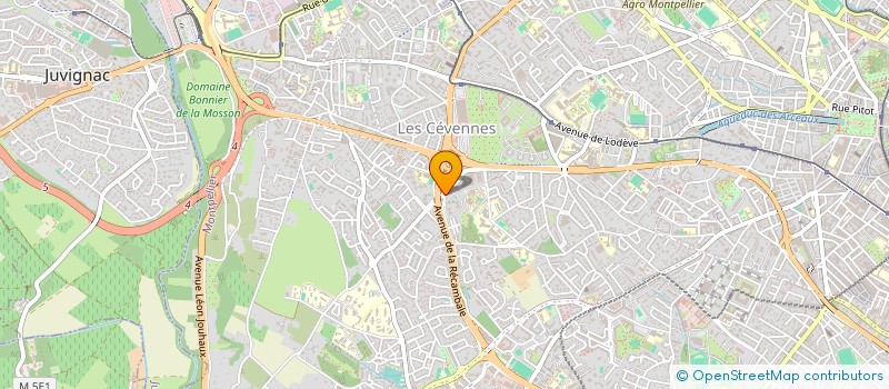 localisation de l'entreprise P - KO à MONTPELLIER