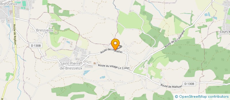 localisation de l'entreprise P-TROLL-ETTES  SAINT-PIERRE-DE-BRESSIEUX