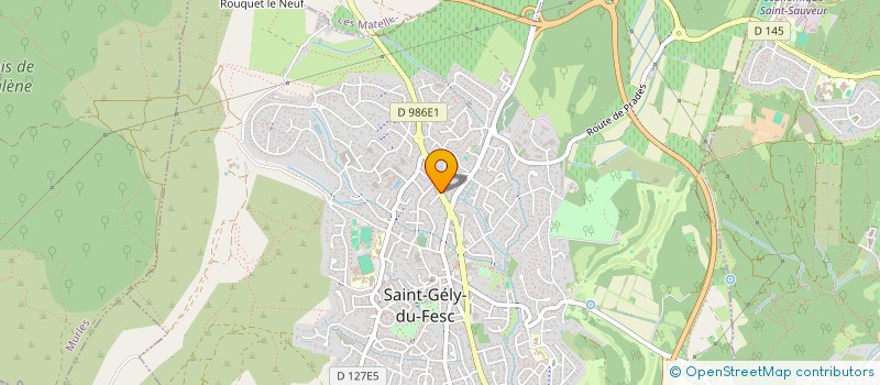 localisation de l'entreprise P2M CONSULTING  SAINT-GELY-DU-FESC