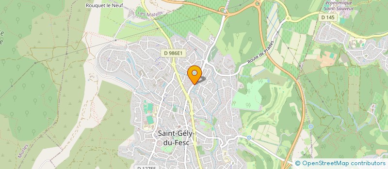 localisation de l'entreprise P2S  SAINT-GELY-DU-FESC