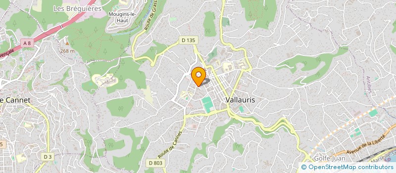 localisation de l'entreprise PACA-CL-BTP à VALLAURIS