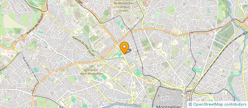 localisation de l'entreprise PACHAVA à MONTPELLIER