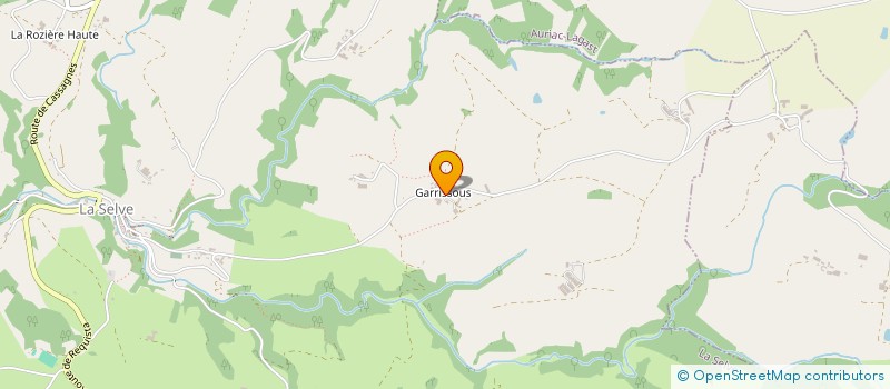 localisation de l'entreprise PAGE RIGAL  LA SELVE