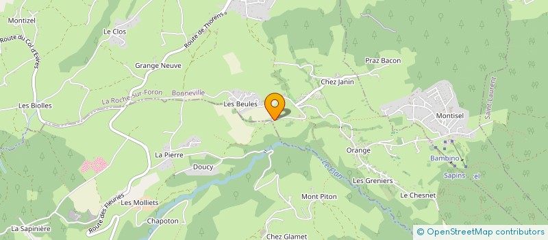 localisation de l'entreprise PAJAL  LA ROCHE-SUR-FORON