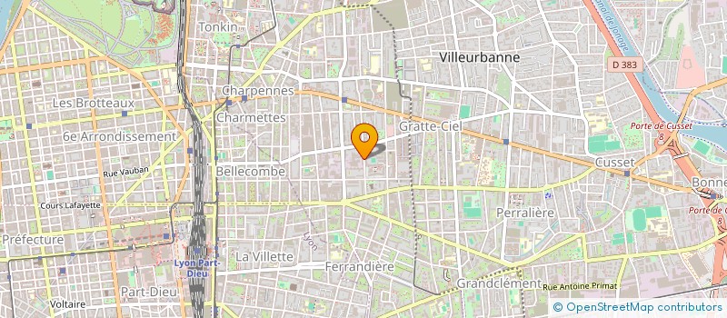 localisation de l'entreprise PALAIS DU MARIAGE  VILLEURBANNE