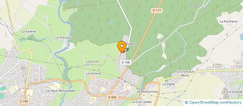 localisation de l'entreprise PALM AVENUE 5  FOUGERES