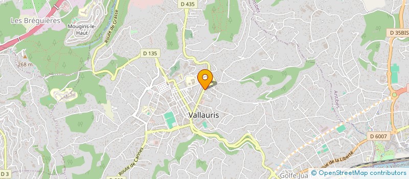 localisation de l'entreprise PALM RIVIERA TOURS  VALLAURIS