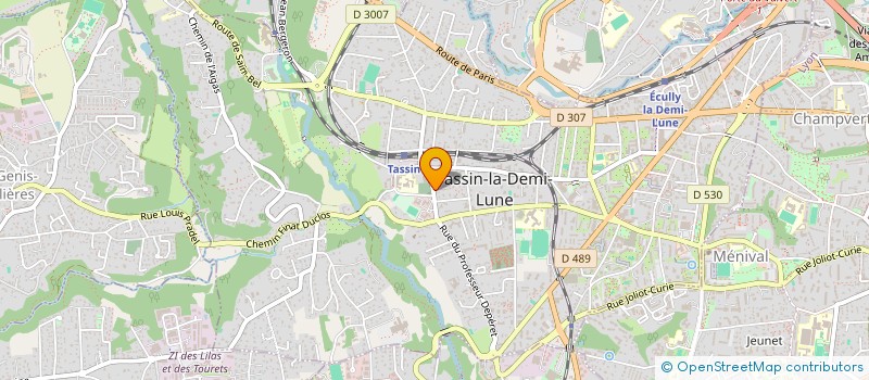 localisation de l'entreprise PALMATO REAL ESTATE  TASSIN-LA-DEMI-LUNE