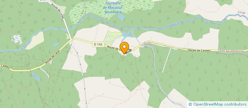 localisation de l'entreprise PALMIER SUR COUR  SAINT-MICHEL-ESCALUS