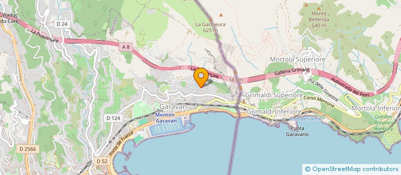 localisation de l'entreprise PALMIS à MENTON