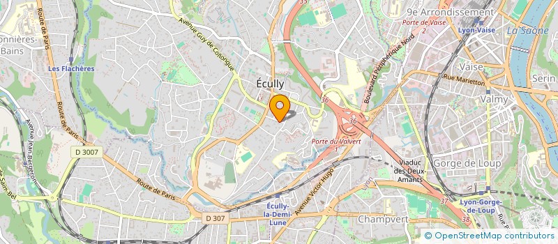 localisation de l'entreprise PALO ALTO  LYON