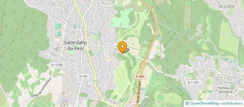 localisation de l'entreprise PALO ALTO  SAINT-GELY-DU-FESC