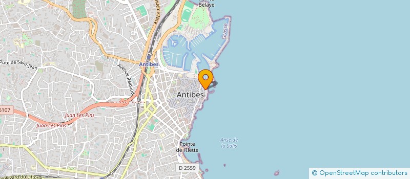 localisation de l'entreprise PAMIC à ANTIBES