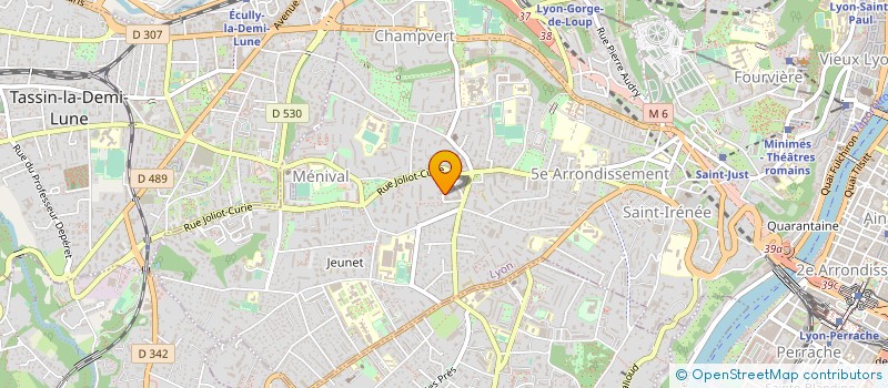 localisation de l'entreprise PAPA PIZZ à LYON