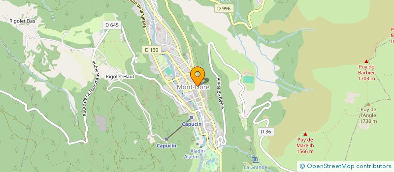 localisation de l'entreprise PARA ICE HOCKEY 63  MONT-DORE