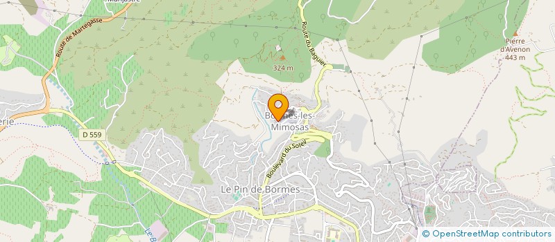 localisation de l'entreprise PARADIS à BORMES-LES-MIMOSAS