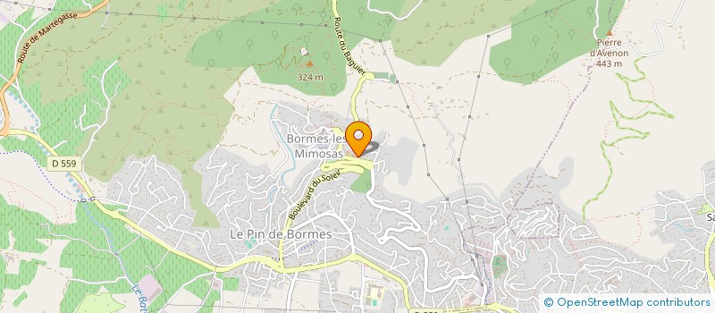 localisation de l'entreprise PARAISO BEACH à BORMES-LES-MIMOSAS
