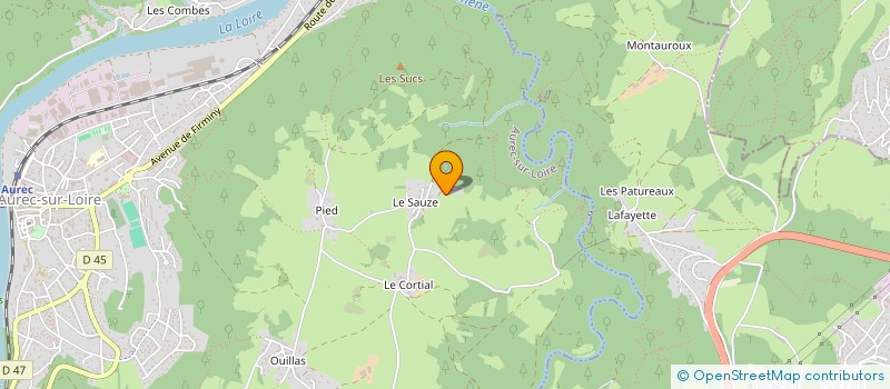 localisation de l'entreprise PARCOURS DE GRANDS MOMENTS  AUREC SUR LOIRE