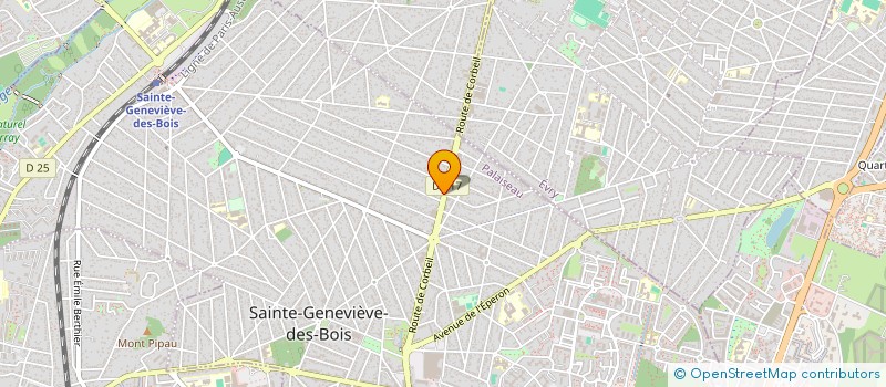 localisation de l'entreprise PARIS 91 à SAINTE-GENEVIEVE-DES-BOIS