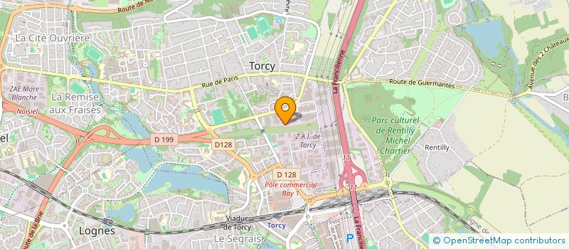 localisation de l'entreprise PARIS BRAGA  TORCY