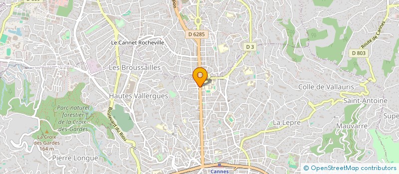 localisation de l'entreprise PAROISSE DU CHRIST ROI à CANNES