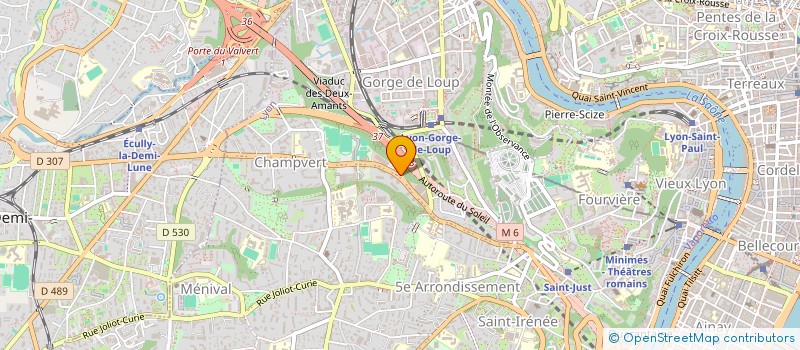 localisation de l'entreprise PARTIALIS CONSULTING  LYON