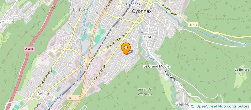 localisation de l'entreprise PAS A PAS INTERNATIONAL à OYONNAX