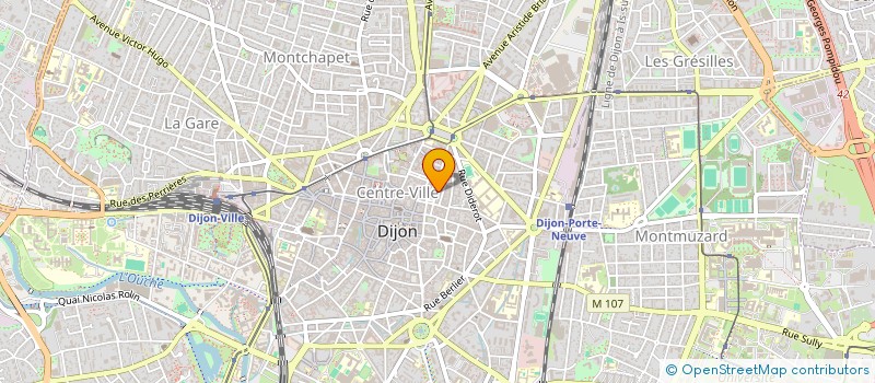 localisation de l'entreprise PASSPORT CONTROL  DIJON