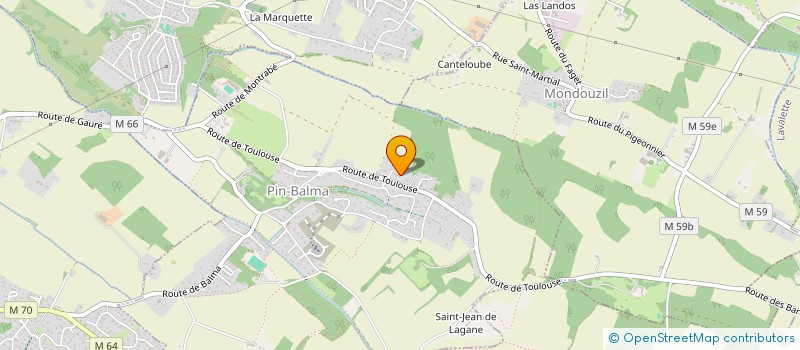 localisation de l'entreprise PASTEL CONSEIL IMMO  PIN-BALMA