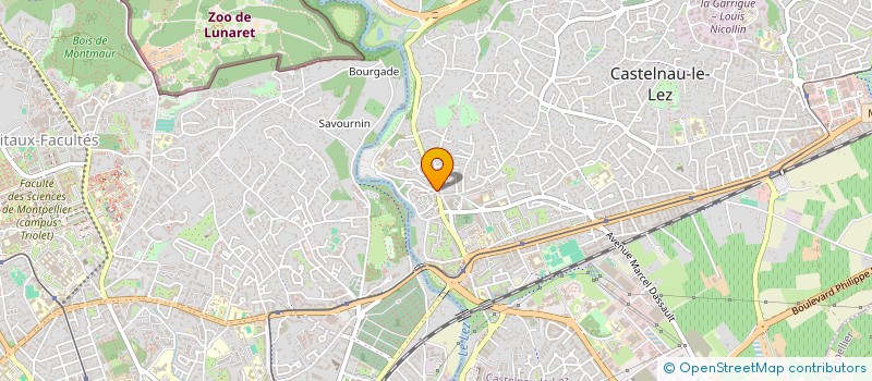 localisation de l'entreprise PATCHOULI à CASTELNAU-LE-LEZ