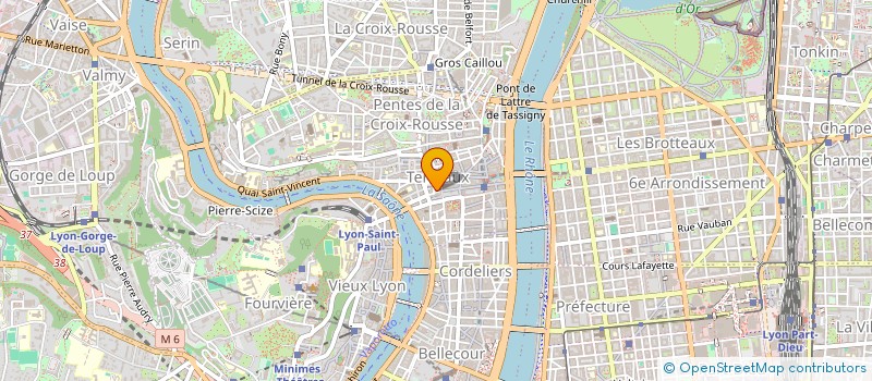 localisation de l'entreprise PATISSERIES FRANCAISES & INTERNATIONAL TRADE SAS  LYON
