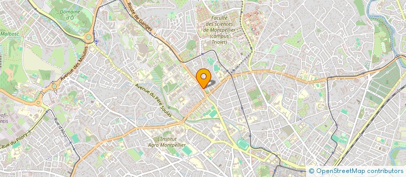localisation de l'entreprise PATOUT BENJAMIN ET BOSCH ELSA à MONTPELLIER