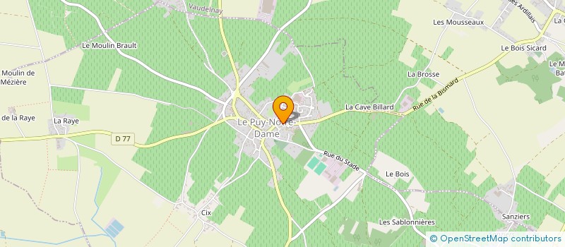 localisation de l'entreprise PATRICK GROSBOIS  LE PUY-NOTRE-DAME