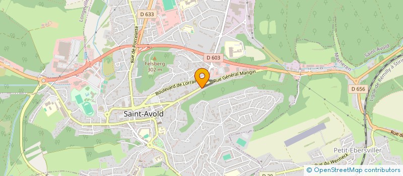 localisation de l'entreprise PATRONATO A C A I EUROPA à SAINT-AVOLD