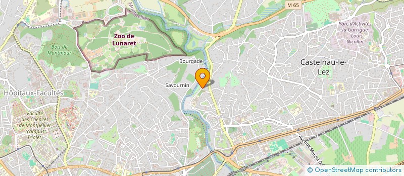 localisation de l'entreprise PAUJUGAS  CASTELNAU-LE-LEZ