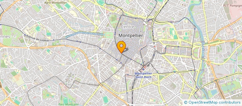 localisation de l'entreprise PAVANE à MONTPELLIER