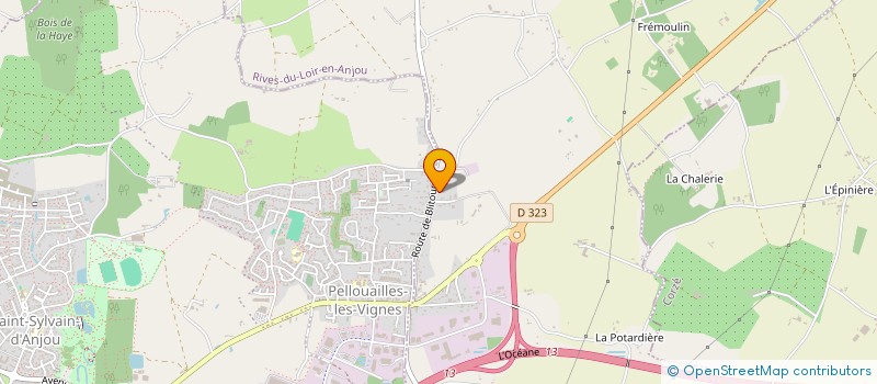 localisation de l'entreprise PAVIE SAMSON  RIVES-DU-LOIR-EN-ANJOU