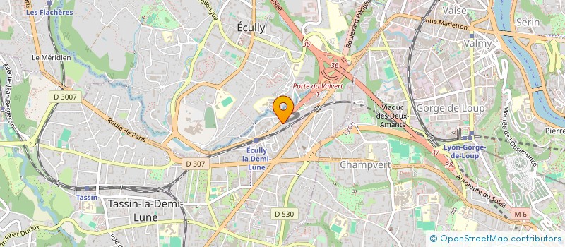 localisation de l'entreprise PAZZO CONSEIL  TASSIN-LA-DEMI-LUNE