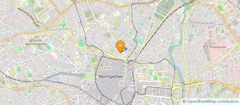 localisation de l'entreprise PEACE TIGERS à MONTPELLIER