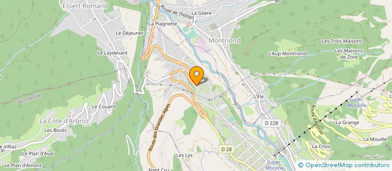 localisation de l'entreprise PEAK SNOWSPORTS FRANCE  MORZINE