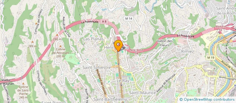 localisation de l'entreprise PEDIATRIE SAINT SYLVESTRE  NICE